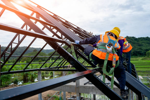 Best Residential Roofing Contractor  in Hampton, IA